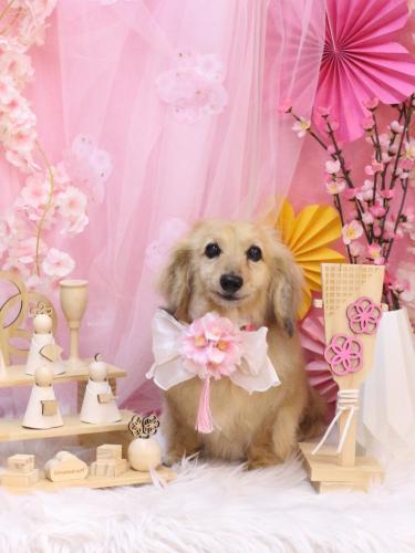 20250328ここあちゃん